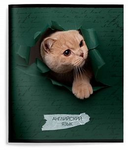 Тетрадь 48 л. А5 клетка, на скрепке, Schoolformat ЛЮБОПЫТНЫЙ КОТИК Английский язык мелованный картон, ВД-лак