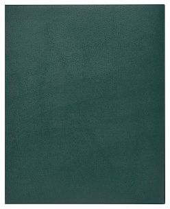 Тетрадь 96 л. А5+ клетка, на скрепке, офсет INFORMAT БУМВИНИЛ зеленая