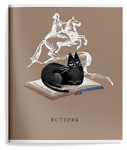 Тетрадь 48 л. А5 клетка, на скрепке, Schoolformat ПУШИСТЫЕ БУДНИ История мелованный картон, сплошной УФ-лак