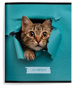 Тетрадь 48 л. А5 клетка, на скрепке, Schoolformat ЛЮБОПЫТНЫЙ КОТИК Геометрия мелованный картон, ВД-лак