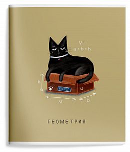 Тетрадь 48 л. А5 клетка, на скрепке, Schoolformat ПУШИСТЫЕ БУДНИ Геометрия мелованный картон, сплошной УФ-лак
