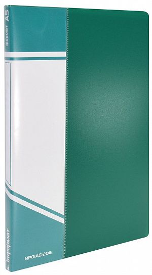 Папка с файлами INFORMAT А5 20 файлов, пластик 550 мкм, зеленая, карман для маркировки