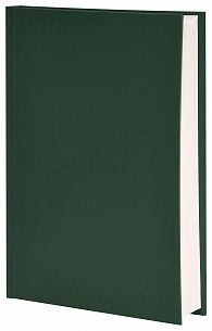 Ежедневник А5 недатированный LITE 160 л. зеленый, бумвинил