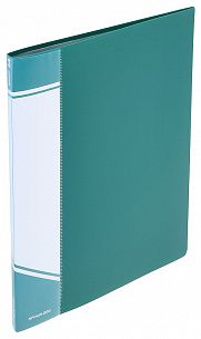 Папка с файлами INFORMAT А4 20 файлов, пластик 500 мкм, зеленая, карман для маркировки