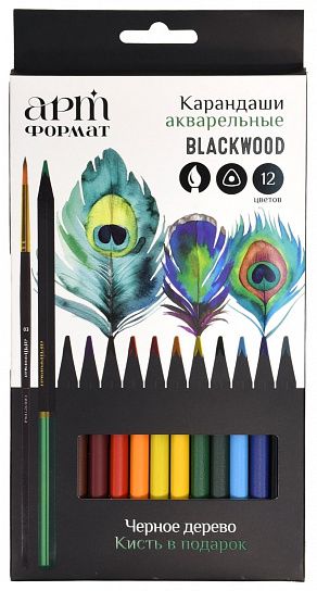 Набор акварельных карандашей АРТформат Blackwood 12 цв. трехгранные, деревянные, супермягкий грифель,с кистью, в картонной упаковке