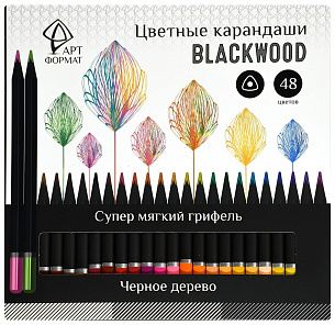 Набор цветных карандашей АРТформат Blackwood 48 цв. трехгранные, деревянные, супермягкий грифель, в картонной упаковке
