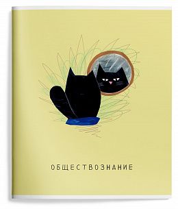 Тетрадь 48 л. А5 клетка, на скрепке, Schoolformat ПУШИСТЫЕ БУДНИ Обществознание мелованный картон, сплошной УФ-лак
