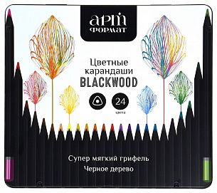 Набор цветных карандашей АРТформат Blackwood 24 цв., трехгранные, деревянные, металлическая коробка