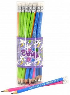 Карандаш чернографитный деревянный Schoolformat DAISY НВ с ластиком, заточенный, трехгранный, тубус