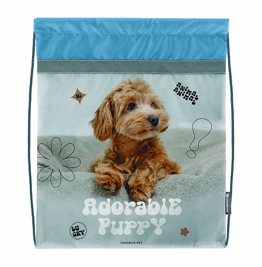 Мешок для обуви Schoolformat ОЧАРОВАТЕЛЬНЫЕ ЩЕНКИ 42х34 см, серый, 1 отделение, для девочек