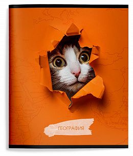 Тетрадь 48 л. А5 клетка, на скрепке, Schoolformat ЛЮБОПЫТНЫЙ КОТИК География мелованный картон, ВД-лак