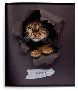 Тетрадь 48 л. А5 клетка, на скрепке, Schoolformat ЛЮБОПЫТНЫЙ КОТИК Физика мелованный картон, ВД-лак