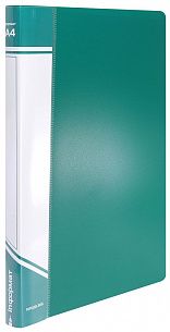 Папка с файлами INFORMAT А4, 30 файлов, пластик 500 мкм, зеленая, карман для маркировки