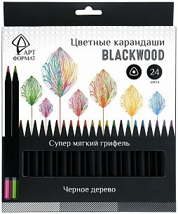 Набор цветных карандашей АРТформат Blackwood 24 цв. трехгранные, деревянные, в картонной упаковке