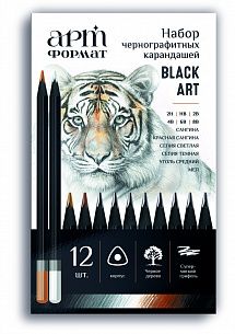 Набор карандашей для скетчинга АРТформат BLACK ART 12 шт: 6 ч/г карандаша, 4 пастели, 1 мел, 1 уголь, металлическая коробка