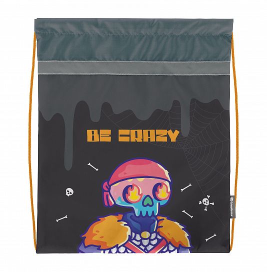 Мешок для обуви Schoolformat СКЕЛЕТОНЫ 42х34 см, серый, 1 отделение, для мальчиков