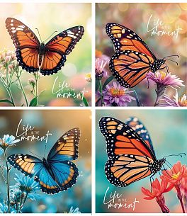 Тетрадь 48 л. А5 клетка, на скрепке, офсет№2 Creativiki БАБОЧКИ мелованный картон, ВД-лак, эконом