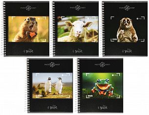 Тетрадь 96 л. А5 клетка, на гребне, офсет№2 Creativiki ЖИВОТНЫЕ картон хромэрзац эконом