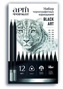 Набор карандашей для скетчинга АРТформат BLACK ART 12 шт., трехгранные, деревянные, в металлической коробке